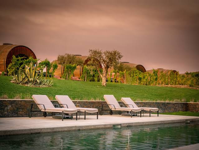 Portugal Travel Guide: Your Complete Guide to Europe's Hidden Gem 14 Quinta da Pacheca Hotel in Portugal