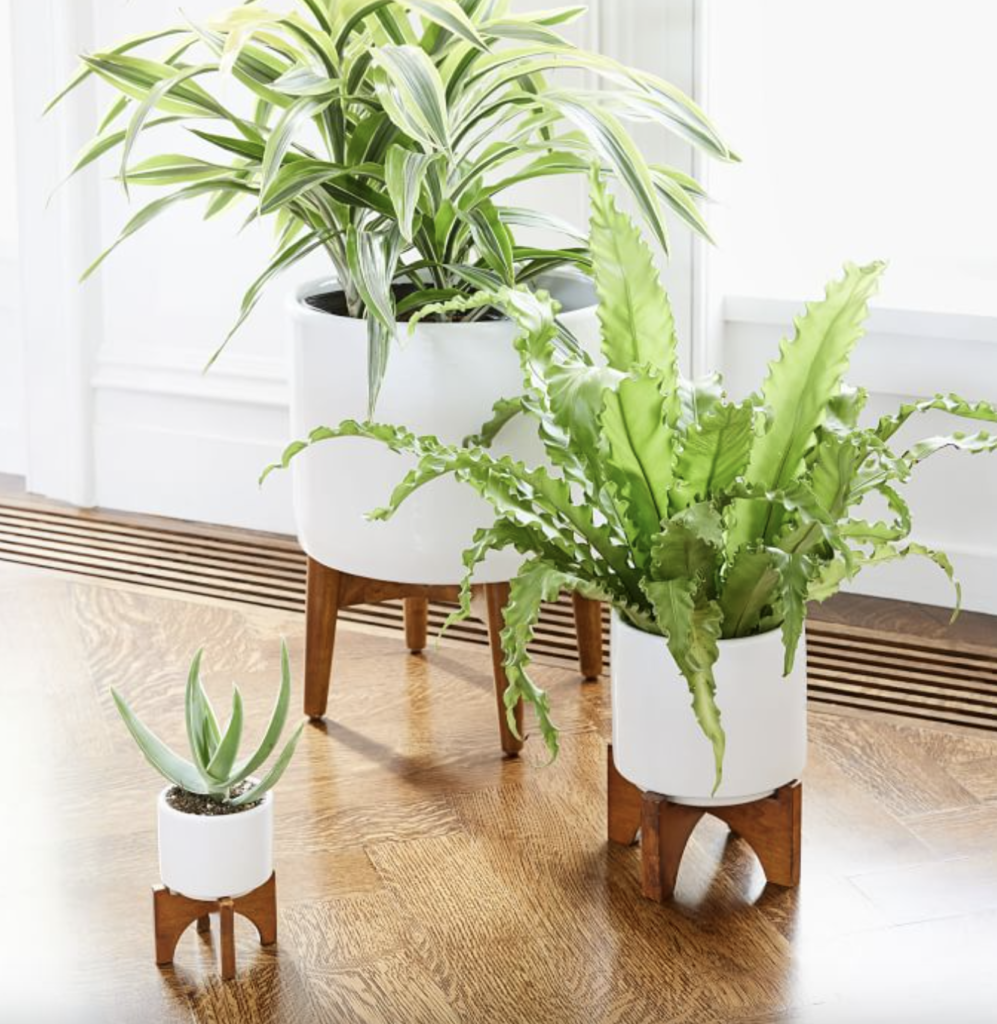 Home Decor Trends 2024 1 Screenshot 2024 02 09 at 5.27.36%E2%80%AFPM