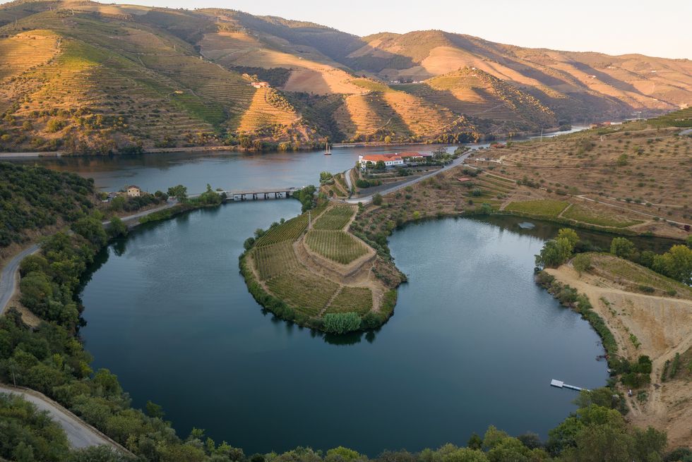 Portugal Travel Guide: Your Complete Guide to Europe's Hidden Gem 16 douro river cruise in portugal