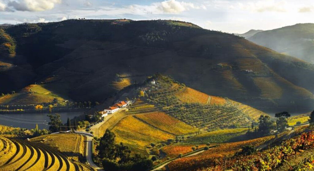 Portugal Travel Guide: Your Complete Guide to Europe's Hidden Gem 15 Quinta da Pacheca Hotel in Portugal