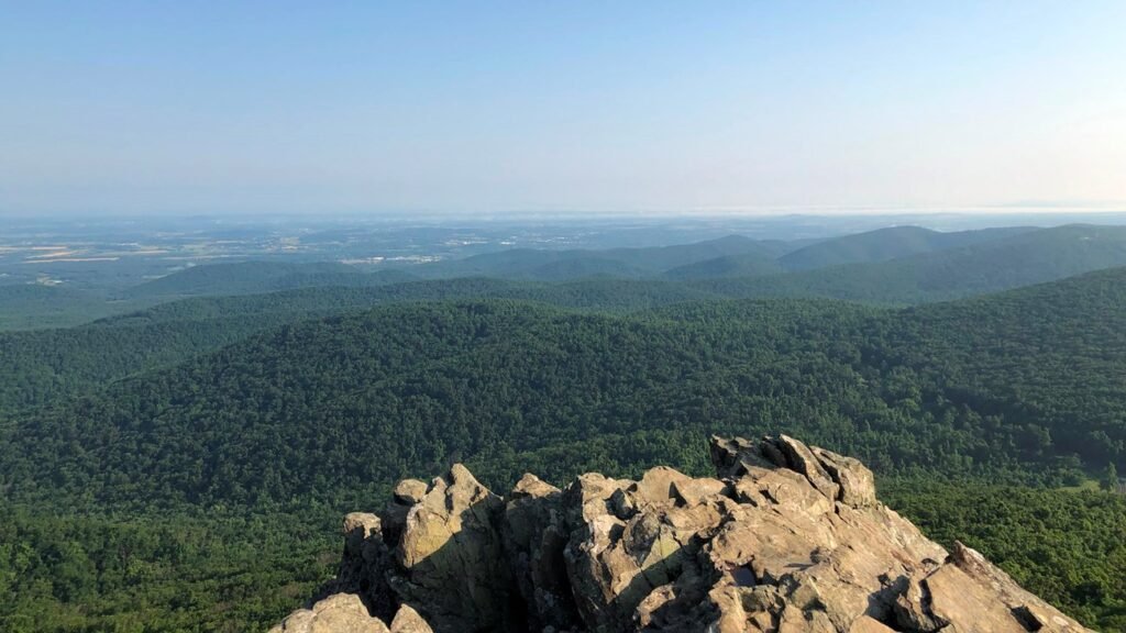 Humpback View at the Top