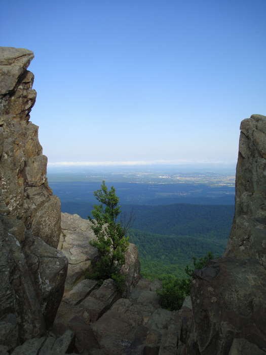 Humpback trail highlight