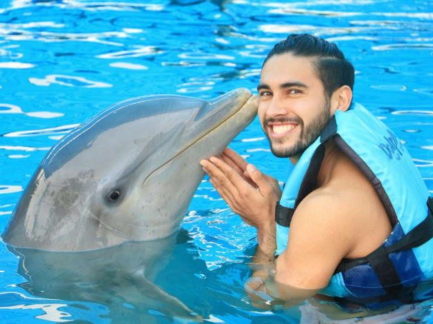 Trip Puerto Vallarta 23 Screenshot 2024 03 08 at 10.35.15%E2%80%AFAM