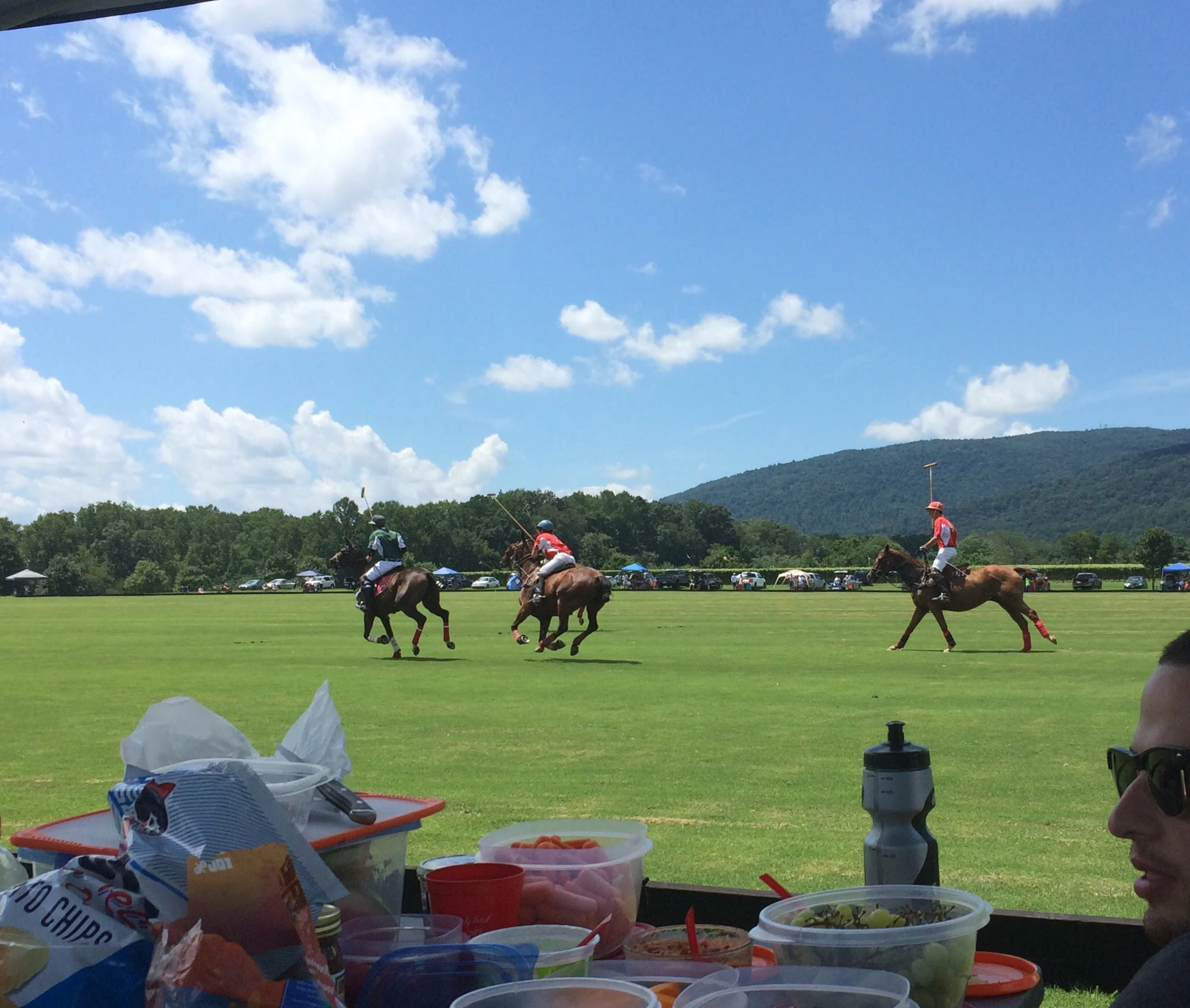 King Family Vineyard Virginia Wineries hosts polo matches