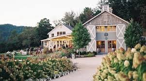 pippin hill vineyard