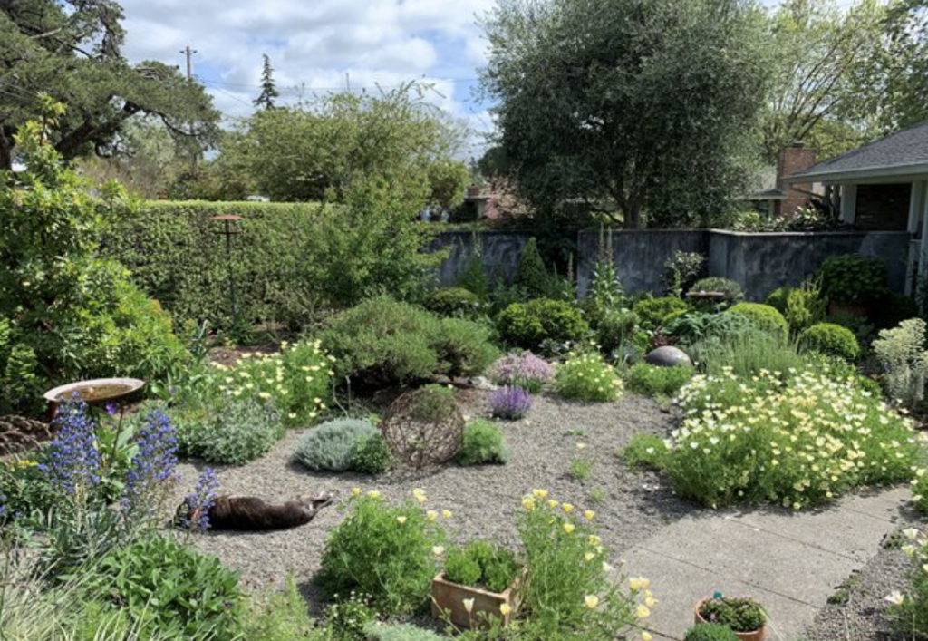 Screenshot-2024-06-07-at-10.52.01 PM Screenshot 2024 06 07 at 10.52.01%E2%80%AFPM