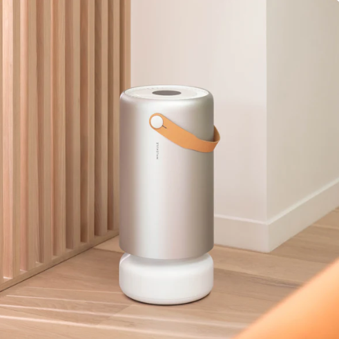 9 Best Air Purifiers of 2025