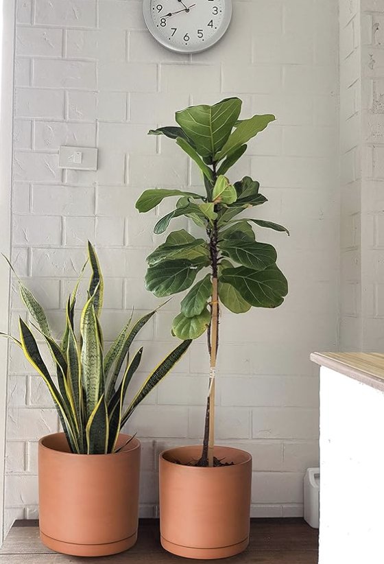 Terracotta Floors & Decor Trends 2024: Modern Earth Tone Design Guide 5 terracotta decor and planters