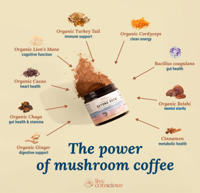 5 Mushroom Coffees That Transform Your Morning Routine 8 beyond-brew-supports-immunity-digestion