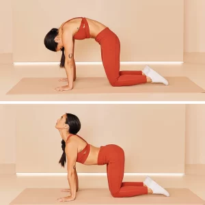10 Hatha Yoga Poses and Techniques to Release Stress 3 Cat-Cow Stretch - Hatha Yoga Poses to Reduce Stress