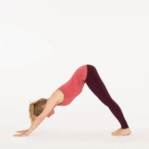 10 Hatha Yoga Poses and Techniques to Release Stress 6 downward facing dog pose