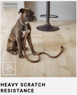 Achieve Dazzling LVP Flooring - In this guide, we discuss the Pro's & Con's of LVP Flooring 7 Top Features of LVP include waterproof,