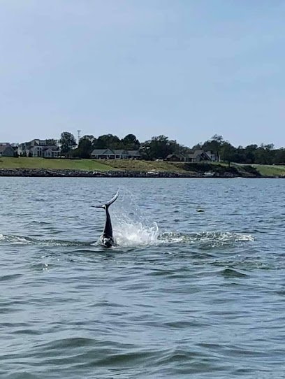 Deltaville is a prime destination for boating, fishing, and exploring the natural beauty of Virginia's coastline.